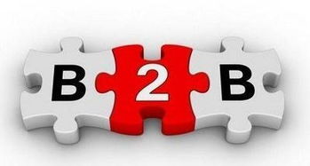 B2B電子商務(wù)網(wǎng)站圖冊(cè) 提升供應(yīng)鏈效率與可視化營(yíng)銷